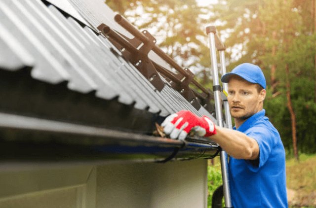 fort collins gutter service